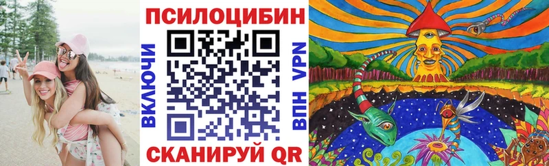 Купить  Ишим  Псилоцибиновые грибы Magic Shrooms 